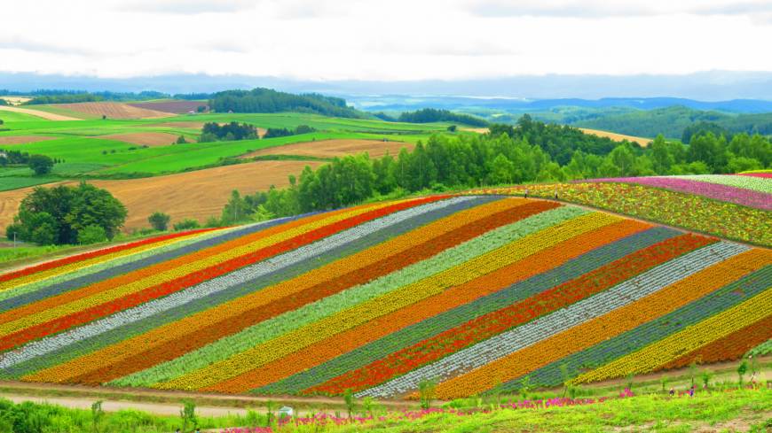 Rainbow effect: The Shikisai no Oka flower fields of Hokkaido’s Biei area. The sky’s no limit for far-flung motorbike touring in Hokkaido