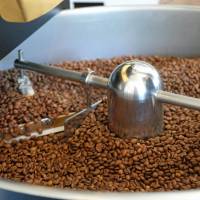 Post roast: Coffee beans are gently stirred and brought down to room temperature on a cooling sieve before storage. At Glitch Coffee, a shared roast is a good roast
