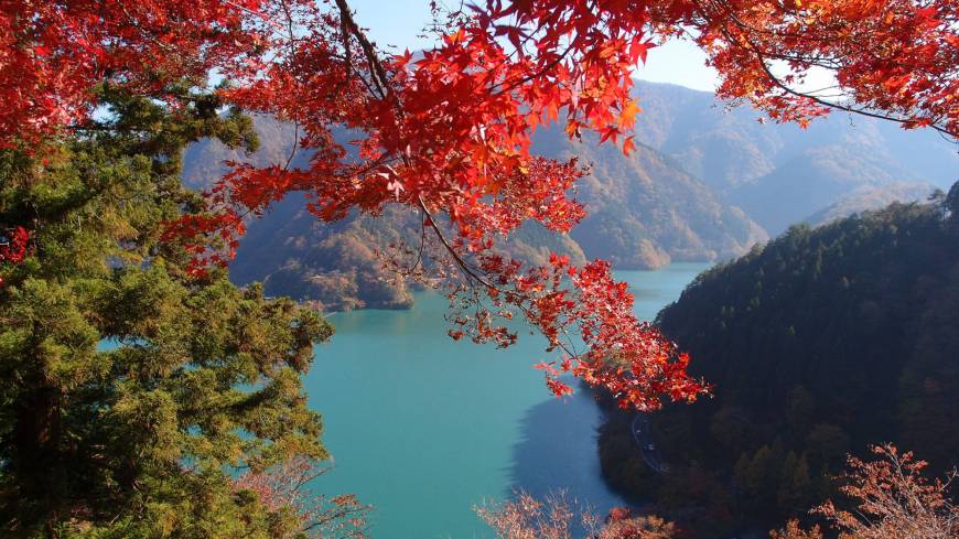Total escape: It’s hard to believe that Okutama Lake is just a few hours away from central Tokyo. Free the kids from the concrete jungle