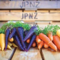 Carrots represent 90 percent of the company’s production of concentrated juices. | © JP-NZ