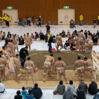 sp-sumo-a-20190411-200x200.jpg