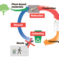 Sustainable PET bottle production concept | SUNTORY HOLDINGS LTD.