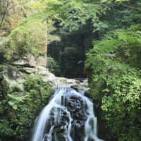 Senjudaki Waterfall is in the Akame ravine, featuring waterfalls known as the Akame 48 Falls in Nabari, Mie Prefecture.