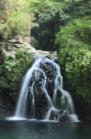 Senjudaki Waterfall is in the Akame ravine, featuring waterfalls known as the Akame 48 Falls in Nabari, Mie Prefecture.