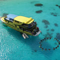 A bird’s eye view of divers enjoying a daytrip on Sea Bees Diving custom-built dive boat, Excalibur II.