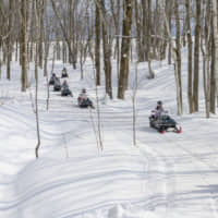 Niseko is the perfect place to enjoy snow activities such as riding snowmobiles. | NISEKO TOURISM