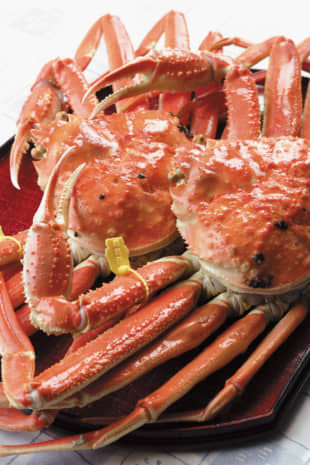 Echizen crab from the Sea of Japan are known for their delicate and sweet flavor.