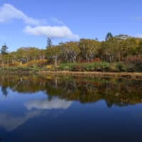 The Shinsen Marsh district is only 'open' during certain times of the year and is teeming with wildlife.