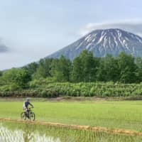 A cyclist on a trail with Mount Yotei in the background. Niseko hosts a variety of competitions and is home to an array of trails for various skill levels.