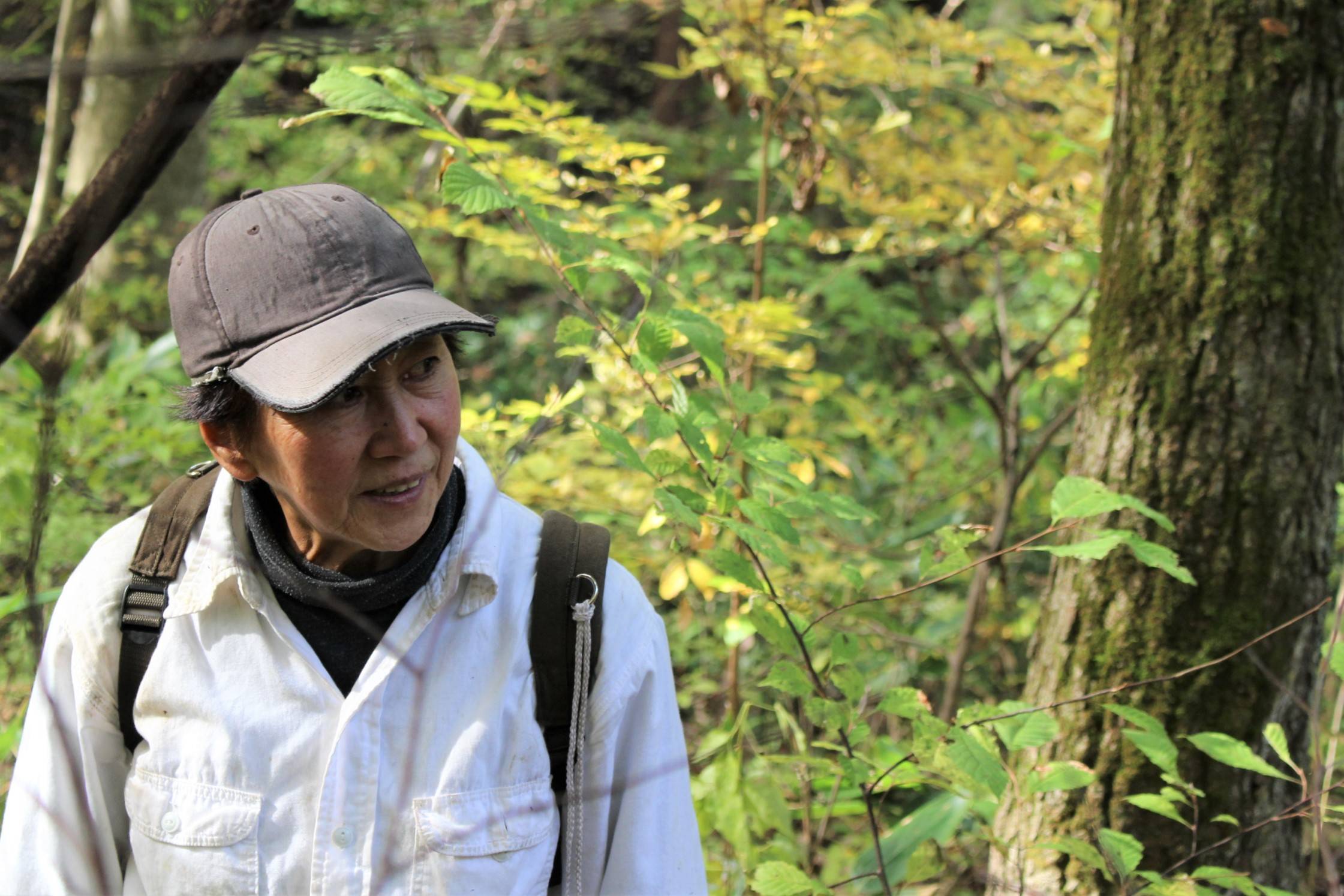 Mushroom master: “I have to keep ahead of all the ‘rivals’ who are also out here looking for mushrooms,” says Ikuko Sato. | CHIARA TERZUOLO