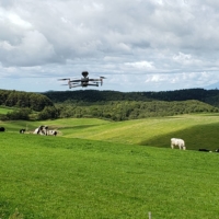 A drone emits sounds from a distance so as not to scare the cows.  | NTT DOCOMO INC.
