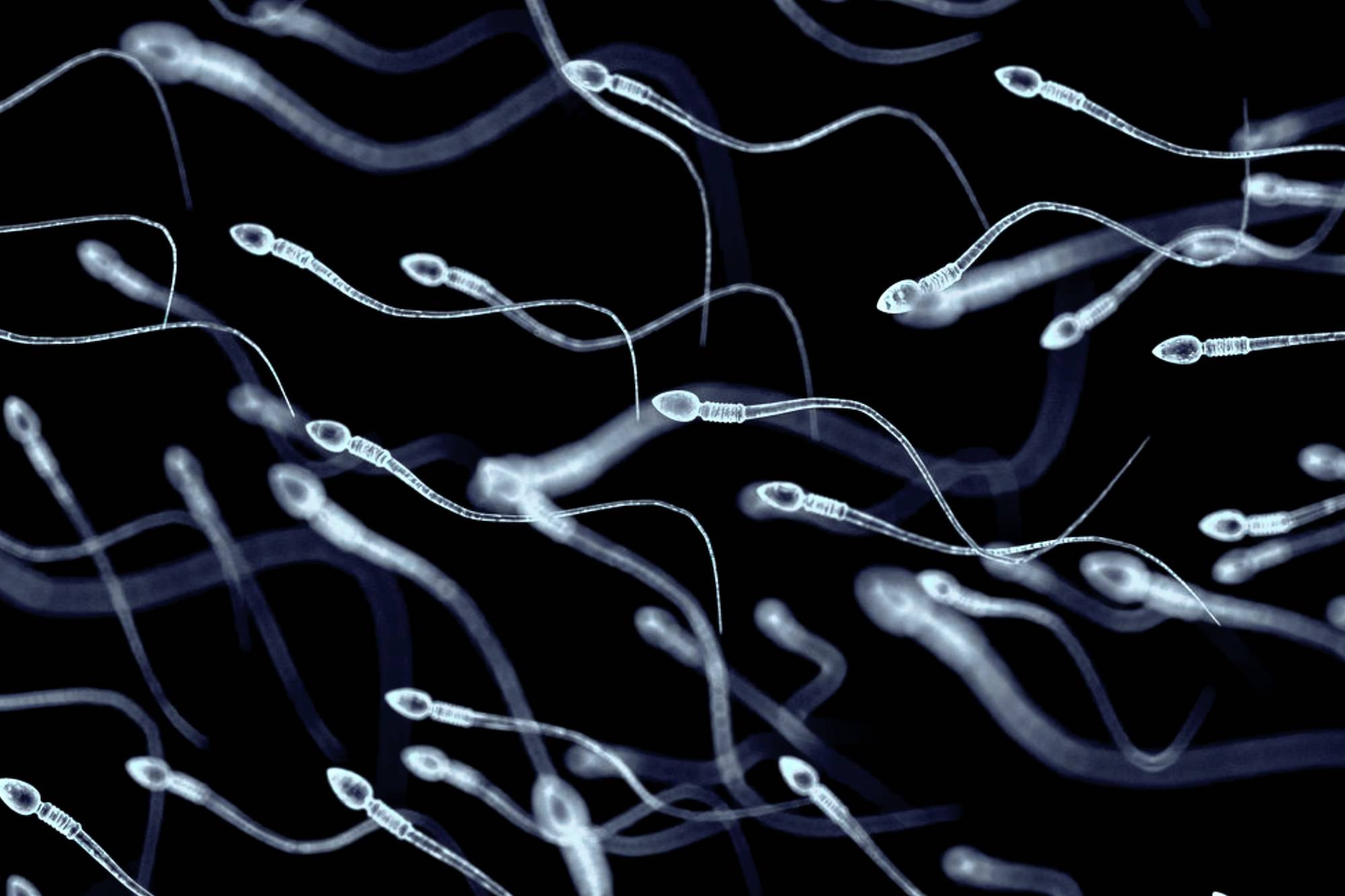 Women's Sperm