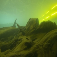 Immaculately preserved trees submerged in water at the Uozu Buried Forest Museum take on an otherworldly appearance. | JNTO