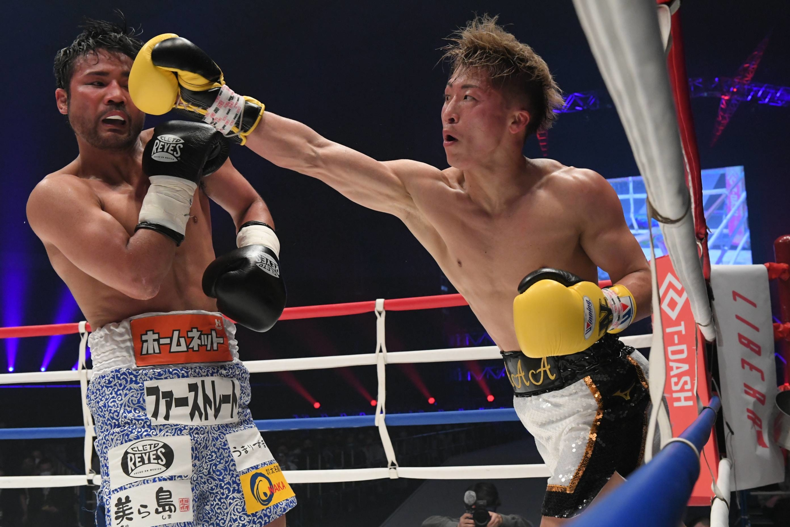 Boxing monster. Монстер бокс. Boxing monster. Монстер бокс. Be one monster перчатки.