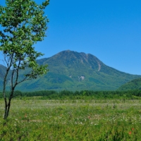 The Senjogahara marsh, home to 350 species of plants and wildlife, is a popular place to hike. | TOBU RAILWAY
