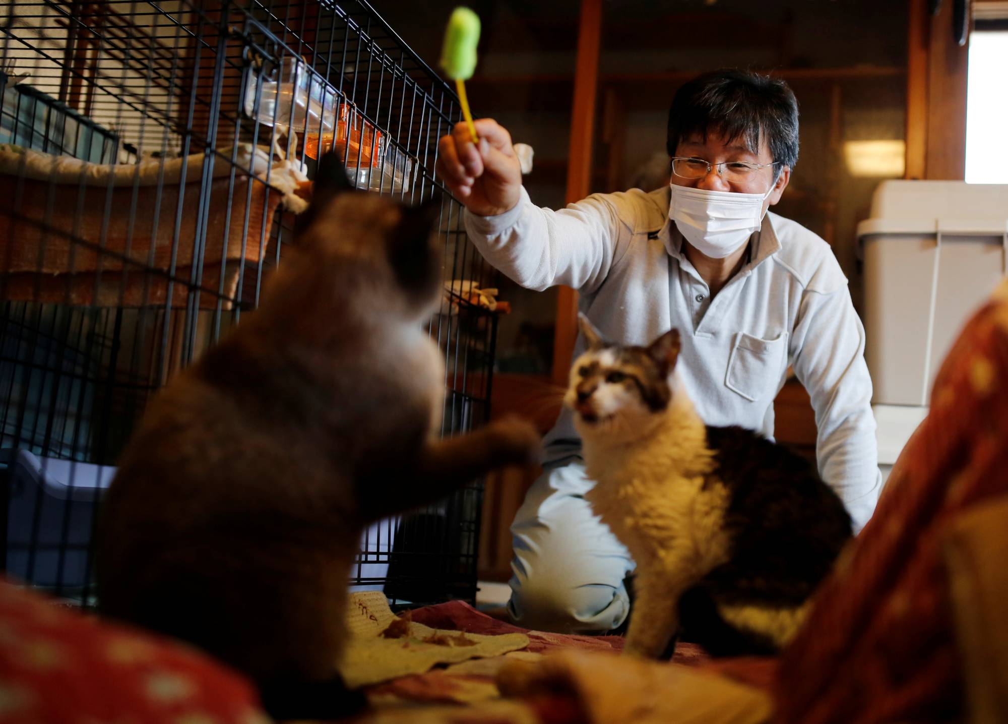 Sakae Kato looks after 41 cats in his home in a restricted zone in Namie, Fukushima Prefecture. | REUTERS