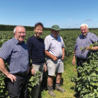 From right to left: John Tavendale, Chairman of NZ Blackcurrant Cooperative; Murray Stephens, former Chairman of NZ Blackcurrant; Eddie Shiojima, founder of Just The Berries PD Corp.; Alan Dobson, Consultant of NZ Blackcurrant | © JTBPD
