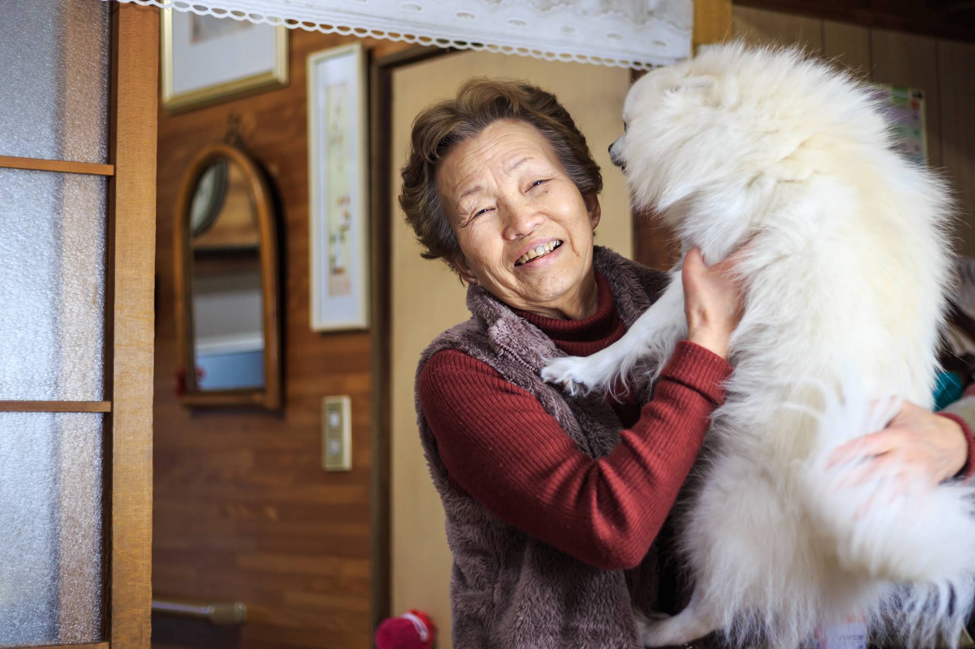 Why Does A Dogs Behavior Change