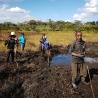 Tilapia nilotica farming pond is prepared by farmers in Mozambique. | THE ROYAL THAI EMBASSY IN MAPUTO