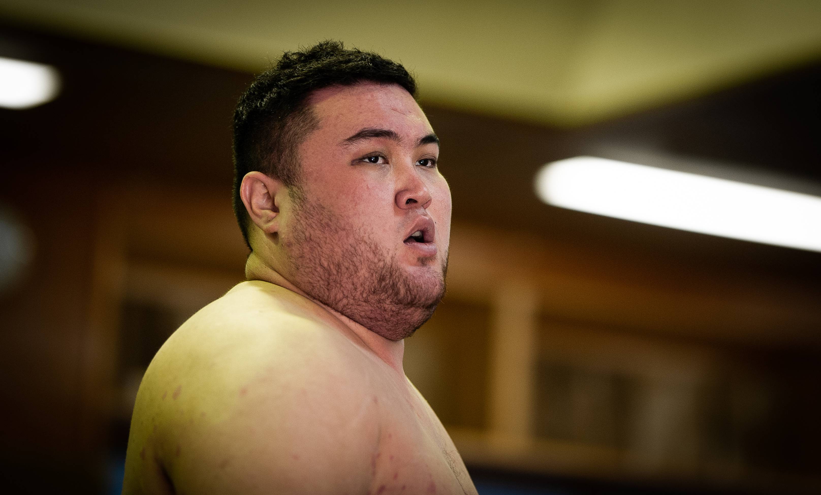 amateur standouts climb pro sumo ranks picture