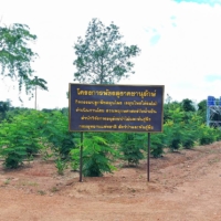 An area designated for planting medicinal herbs at the Bajrasudha Gajanurak Project in Baan Sa Luang, Sakaew province | GAJANURAK BAAN SA LUANG FACEBOOOK PAGE