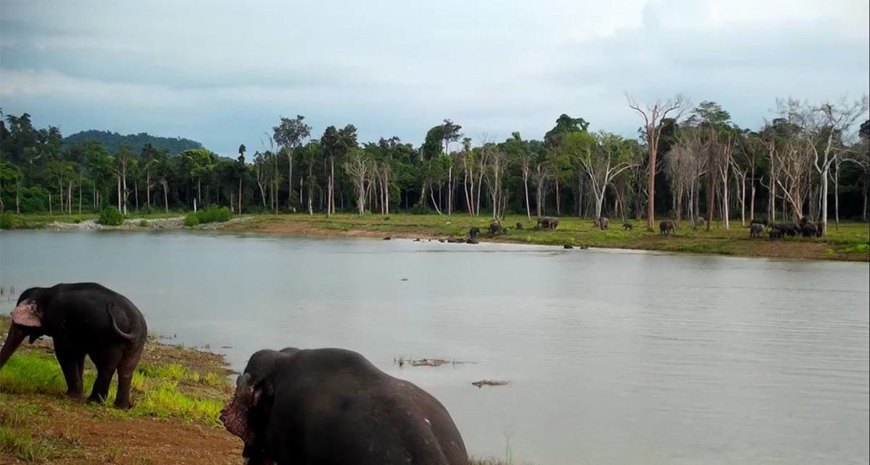 The Baan Na Yao Reservoir, Sanam Chai Khet District, Chachoengsao province, under the care of the Royal Forest Department | ROYAL OFFICE