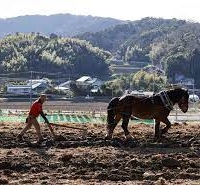 '田人馬 Tazinba'ーthe sustainable sake rice making method by Sanbarikisha in Tsunan, Niigata