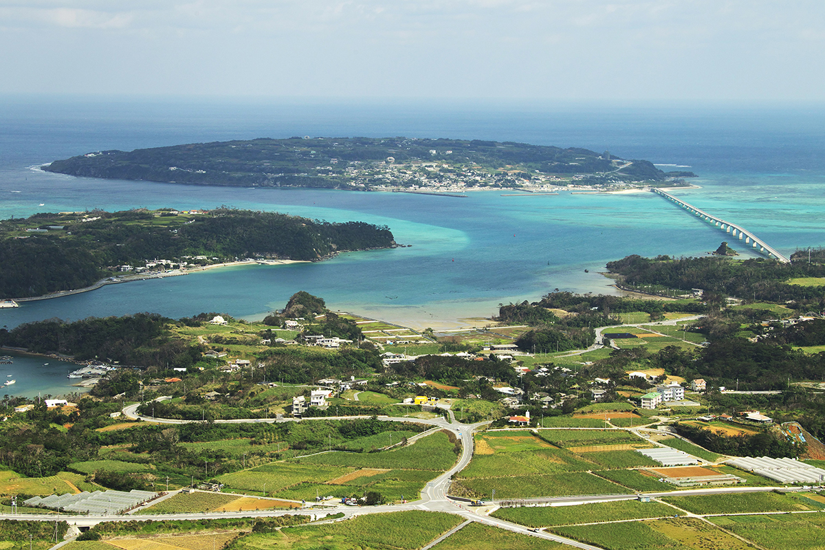 Nature-focused theme park to open in Okinawa in 2025 - The Japan Times