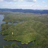 Yanbaru National Park | OKINAWA CONVENTION AND VISITORS BUREAU