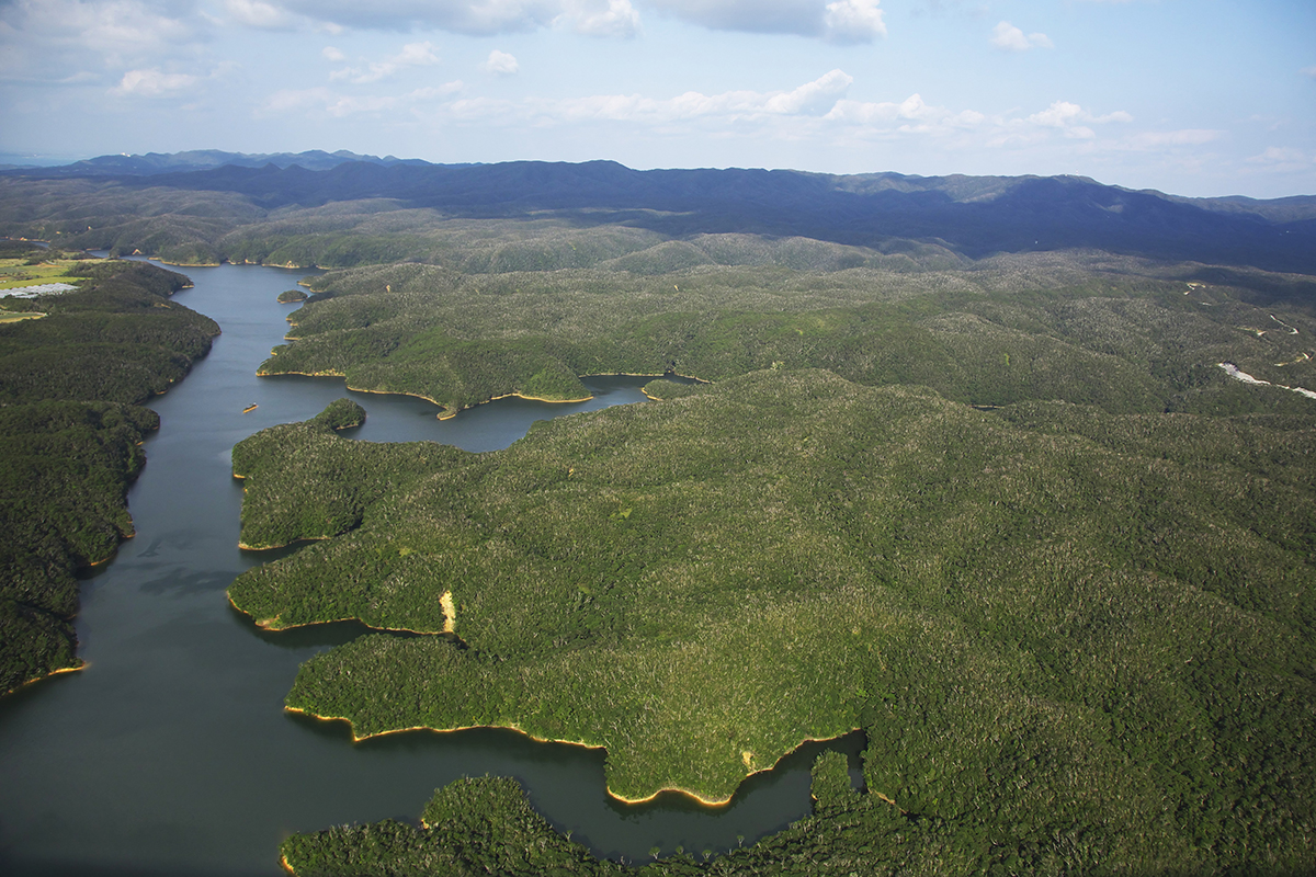 Yanbaru National Park | OKINAWA CONVENTION AND VISITORS BUREAU