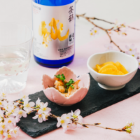 Spring Night Set