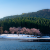 Go Circular! Vol.3 Meet the Niigata Sake Brewer –  Interview with Sessyu 雪洲 Kuwahara, Up-and-Coming Brewer from Tsunan sake brewery