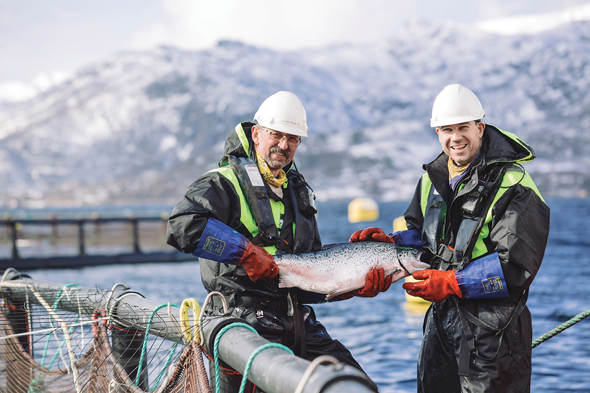 From Norway's seas to Japan's shores: NSC launches campaign to