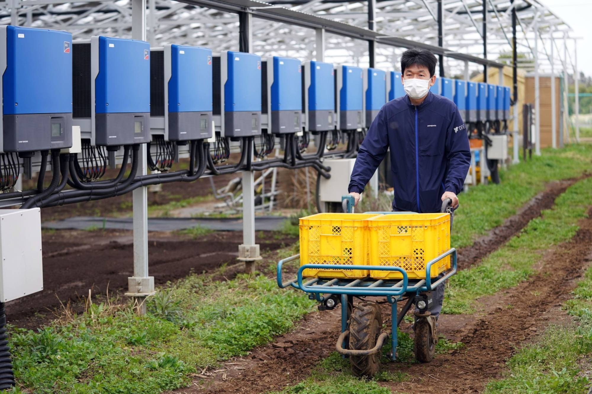 Takeshi Magami, giám đốc điều hành của Chiba Ecological Energy, làm việc tại trang trại của ông ở Chiba.  Mặc dù Magami đã chứng minh sự thành công của việc chia sẻ năng lượng mặt trời, nhưng phương pháp này vẫn chưa được áp dụng rộng rãi ở Nhật Bản.  |  BLOOMBERG