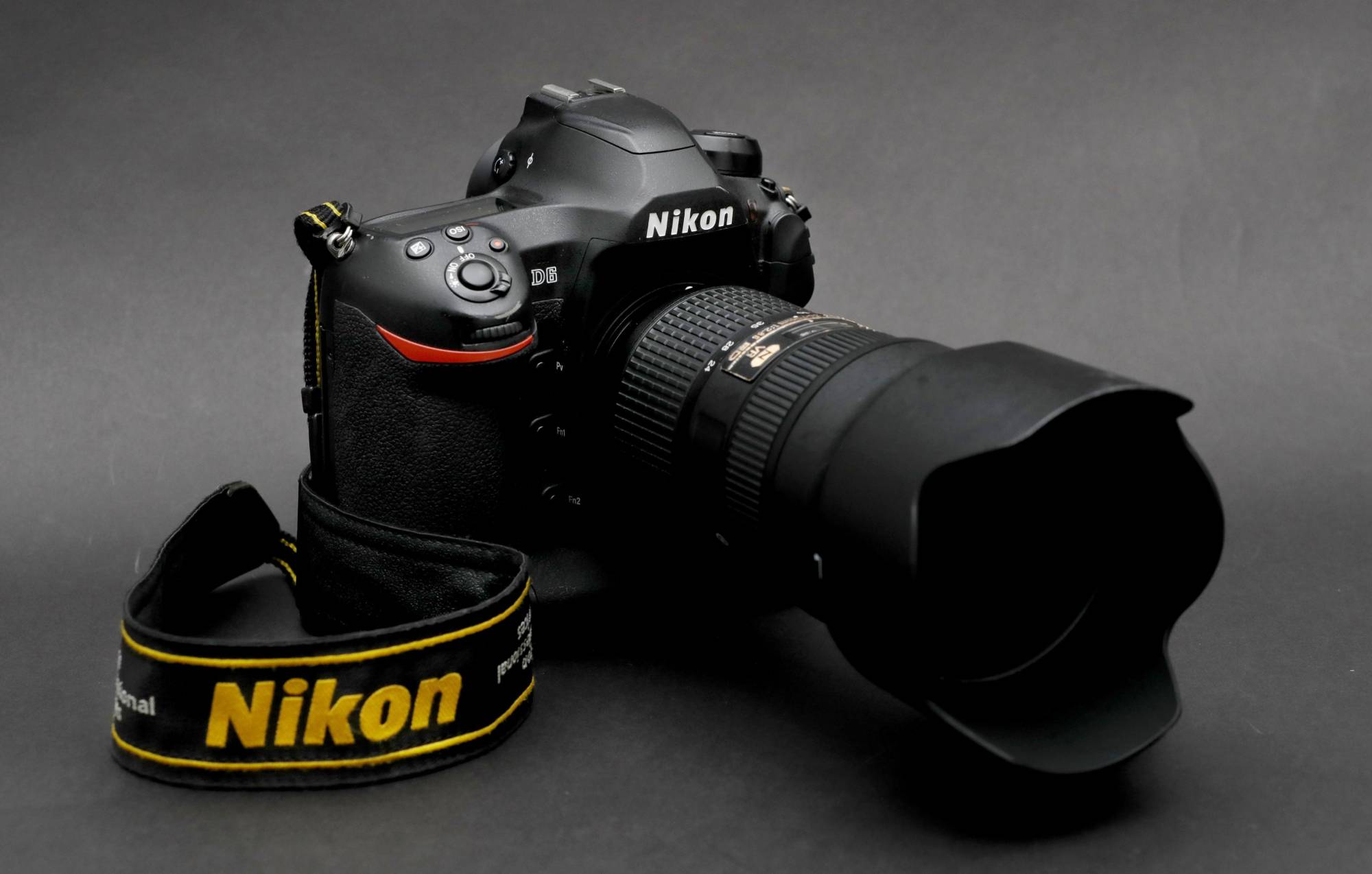 wij partij Omleiding Nikon to stop digital SLR camera development | The Japan Times