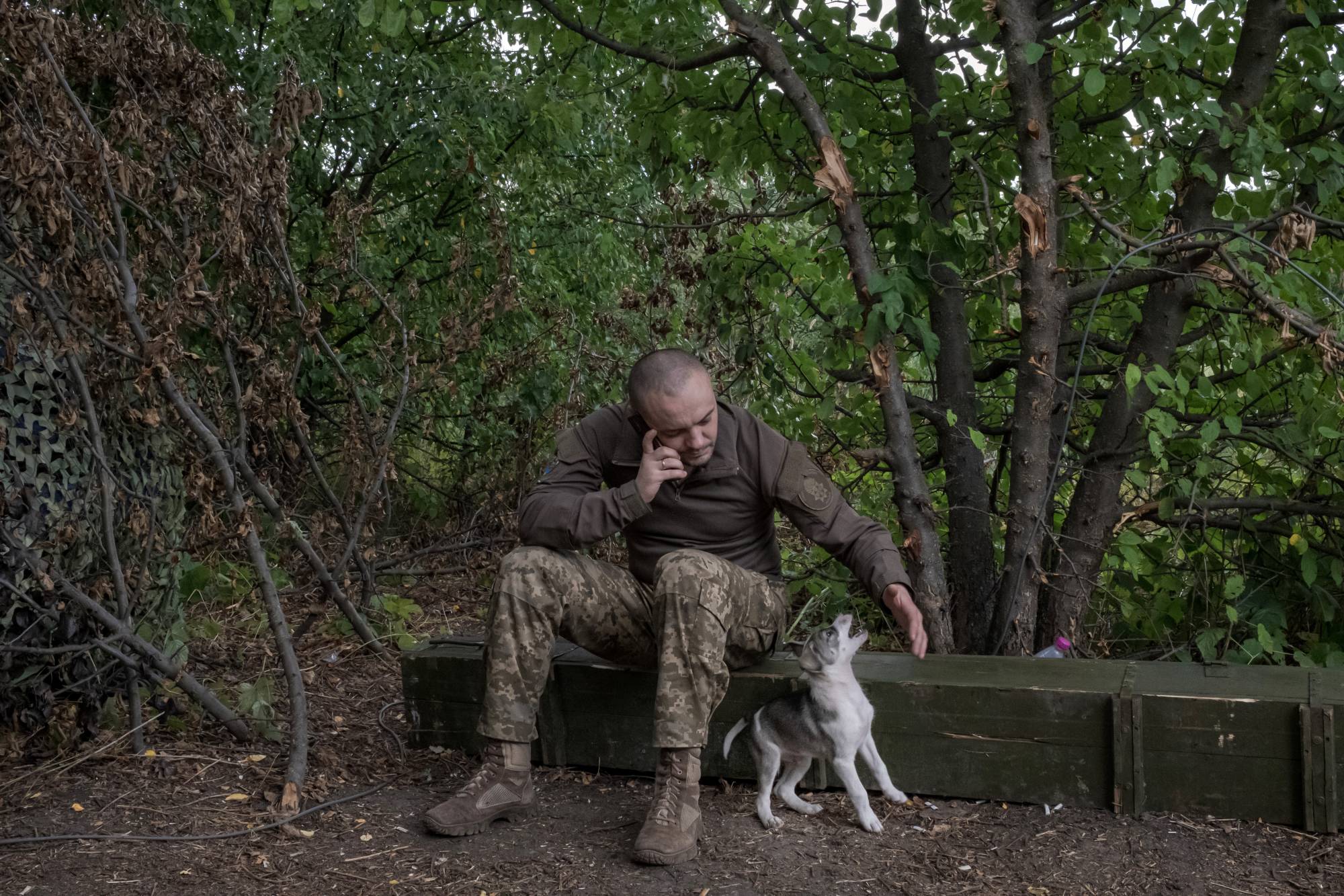 A Ukrainian soldier plays with a puppy as he speaks on his phone near the front lines in the Donetsk region of eastern Ukraine on Thursday. | MAURICIO LIMA / THE NEW YORK TIMES