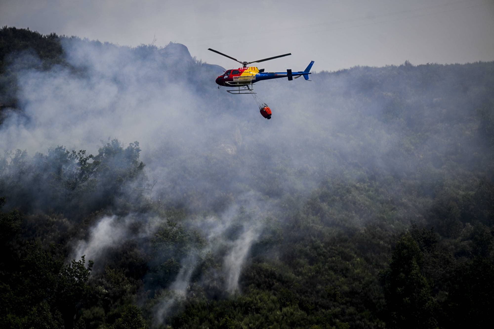 Forest fires rage in scorching southwest Europe | The Japan Times