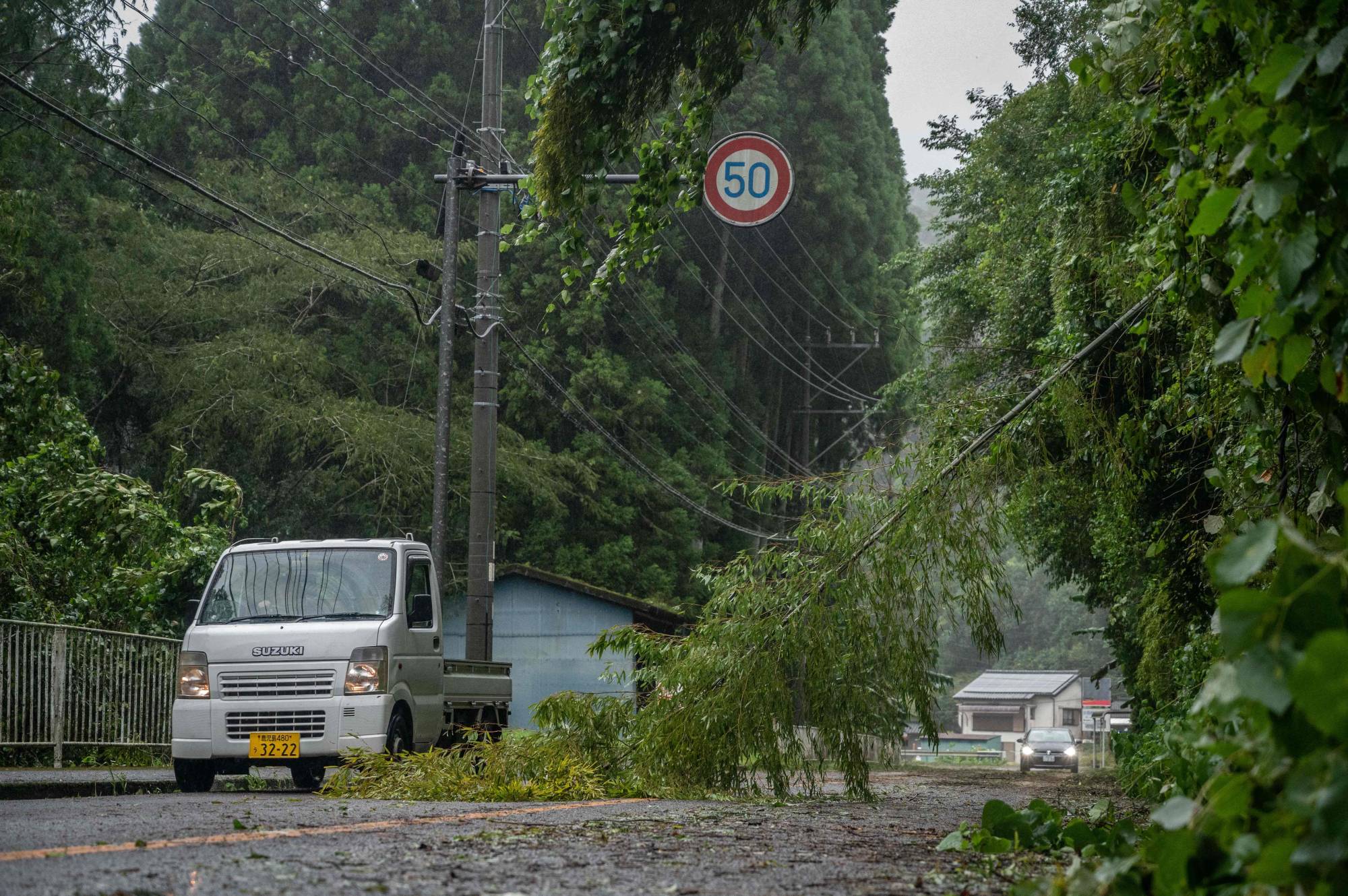 A car passes a fallen tree in the wake of Typhoon Nanmadol in Izumi, Kagoshima Prefecture, on Monday. | AFP-JIJI