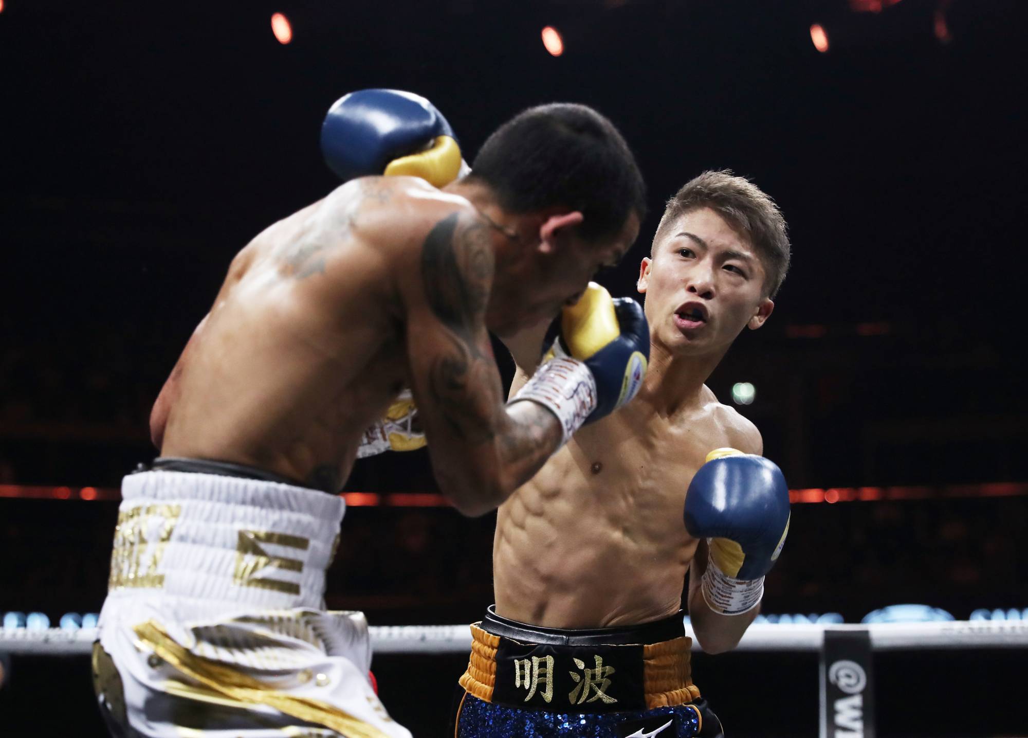 naoya inoue titles