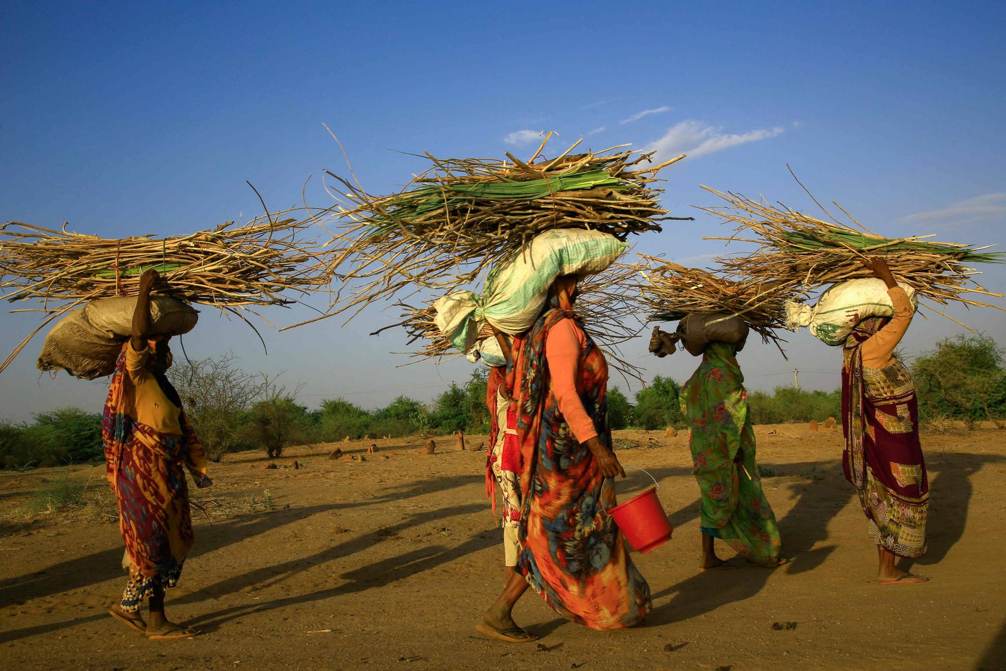 Women carry reed stalks as they walk along the Nile River, near the Sixth Cataract known in Sudan on Oct. 22. | AFP-JIJI