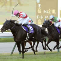 Akai Ito cruises to an upset win at the 46th Queen Elizabeth II Cup on Nov. 14, 2021, at Hanshin Racecourse in Hyogo Prefecture. | KYODO