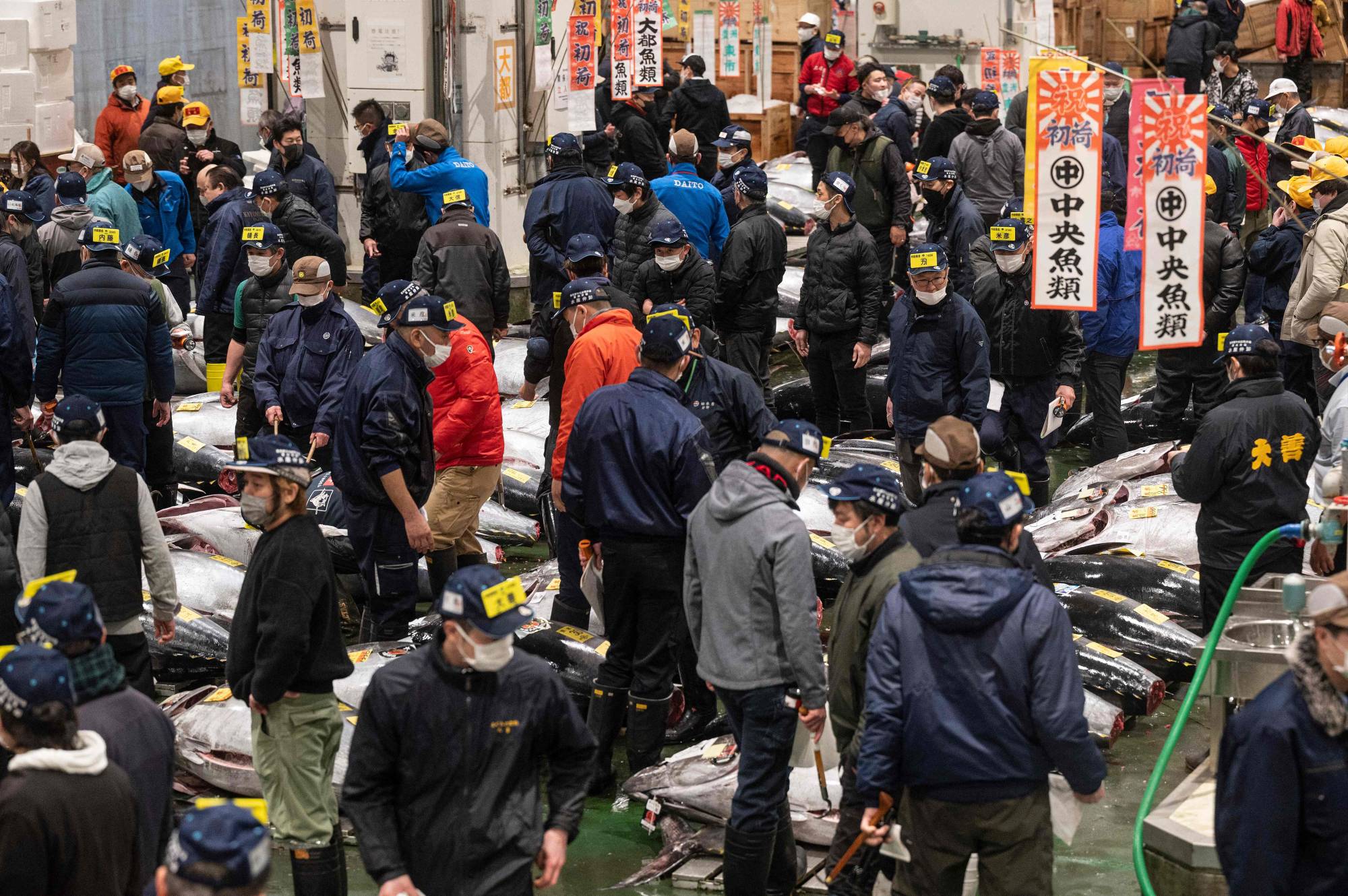 Wholesalers and buyers attend the first tuna auction of the new year at Toyosu fish market. | AFP-JIJI
