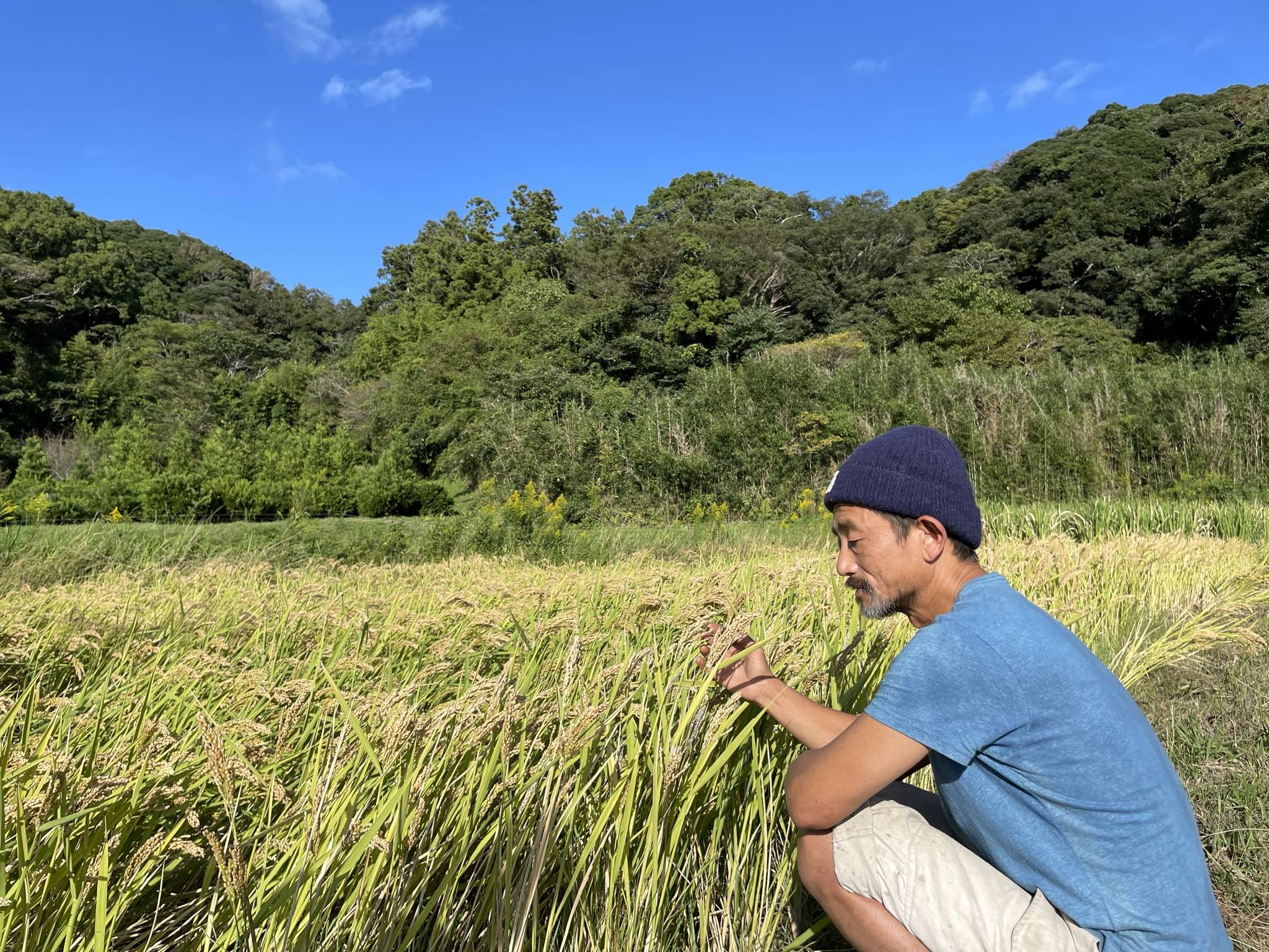 The Land of the Rising Sun rises much too early - The Japan Times