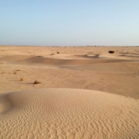 While dust over deserts that already reflect sunlight can produce warming, atmospheric dust can scatter sunlight, alter cloud cover and deposit nutrients such as iron and phosphorus into the ocean. | REUTERS

