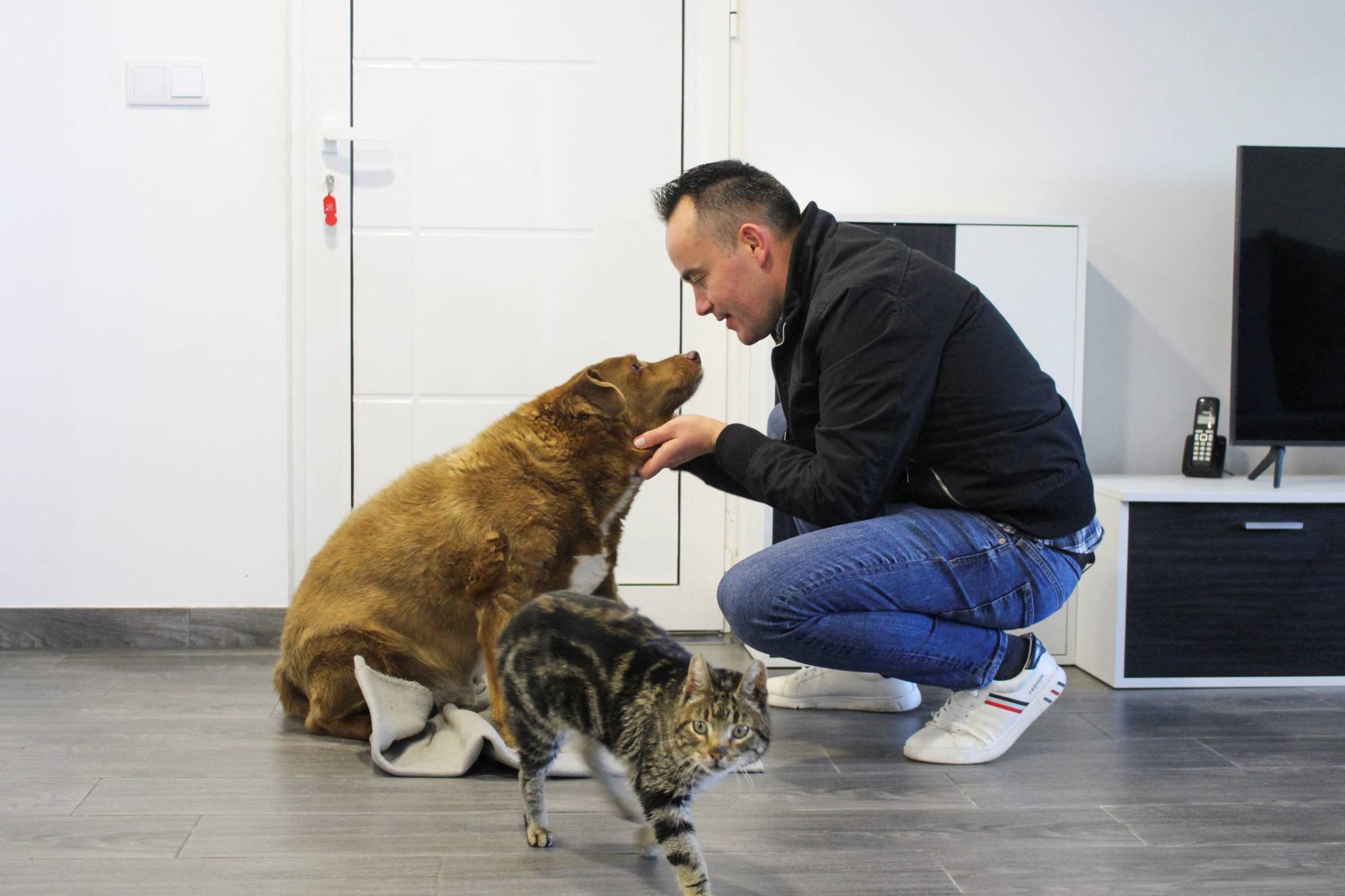 Take a bow-wow! Meet Bobi, the world's oldest dog on record | The Japan Times Take a bow-wow! Meet Bobi, the world's oldest dog on record | The Japan Times