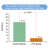 The_number of tumor colonies of the breast cancer cells engrafted in the lung