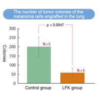 The number of tumor colonies of the melanoma cells engrafted in the lung