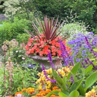 Exquisite garden bursts with brilliant color