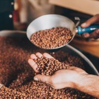 DLT Labs has created seamless data-sharing platforms for the ethical and sustainable sourcing of cacao beans from West Africa. | © DLT LABS