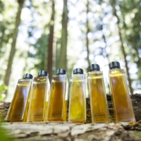 BOKKA starts sales with six different tree scents. The six types are oak, beech, cherry, cedar, apple and walnut.